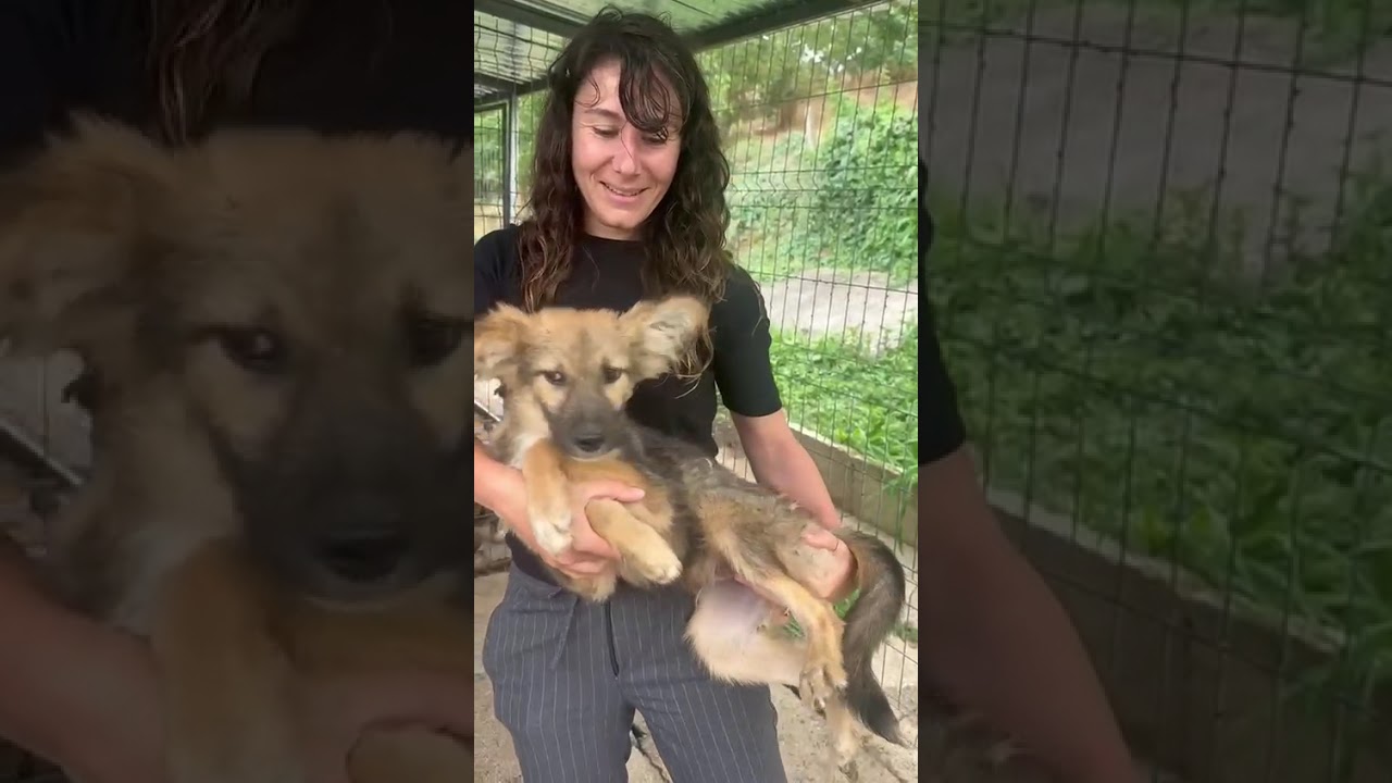 Youtube Vorschau - Video ID azj5_FlaKI0