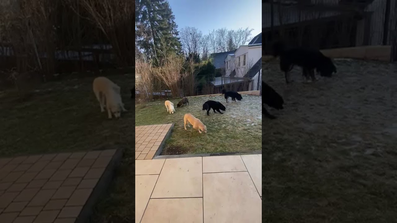 Youtube Vorschau - Video ID b4vmz9t9ees