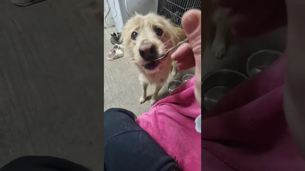 Youtube Vorschau - Video ID cGbHPotBTKM