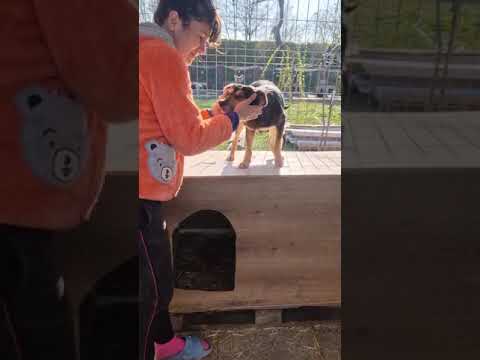 Youtube Vorschau - Video ID cmqBzIz5Lb0