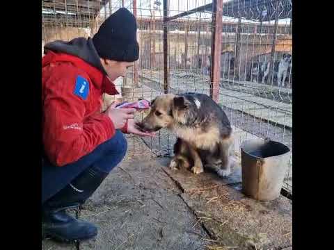 Youtube Vorschau - Video ID cvWJvXhCKOE