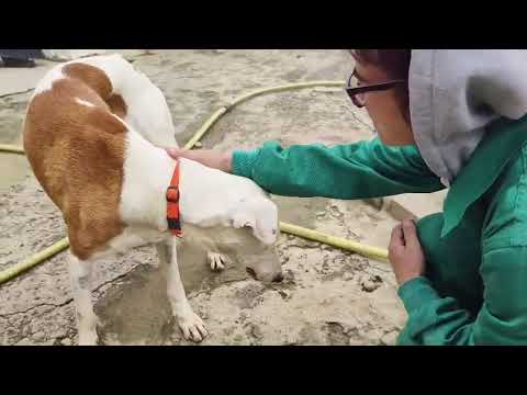 Youtube Vorschau - Video ID dK514eQn2gg