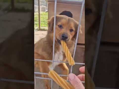 Youtube Vorschau - Video ID daynepdsYyI