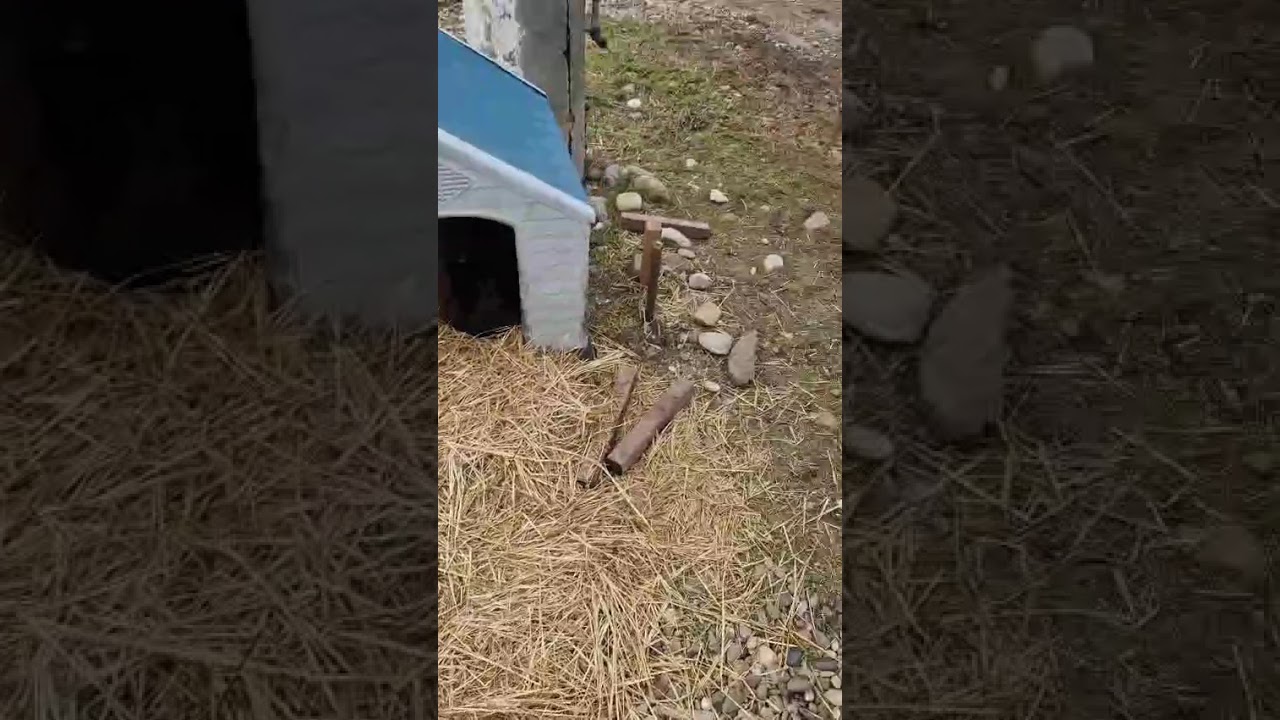 Youtube Vorschau - Video ID eFLyqxbklho