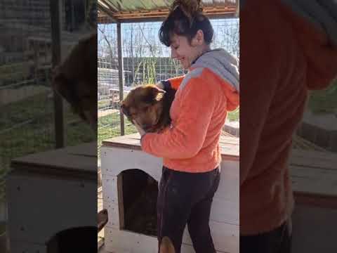 Youtube Vorschau - Video ID egga1rEzcNU