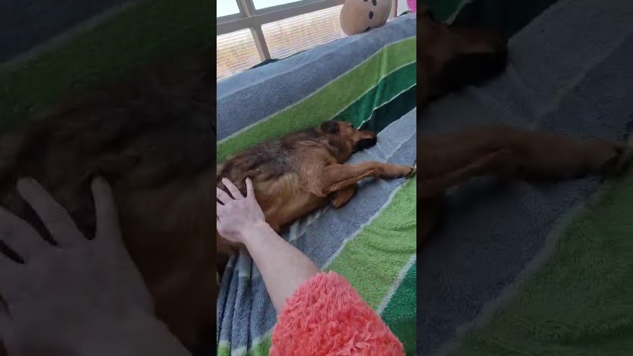 Youtube Vorschau - Video ID ei9v4hVnE04