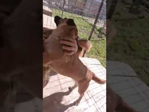 Youtube Vorschau - Video ID ej5Htxbs9Vk