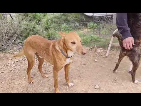 Youtube Vorschau - Video ID fY7LbaiUbGQ