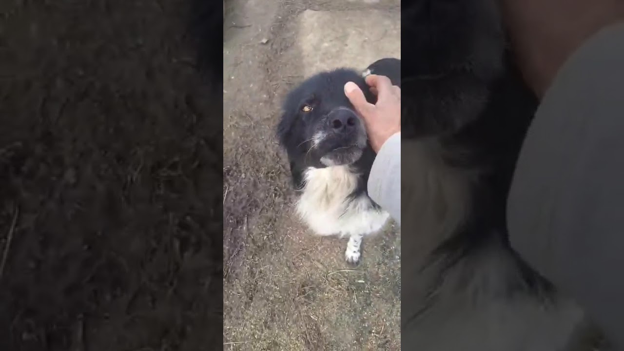 Youtube Vorschau - Video ID fhCNiYH3dxU