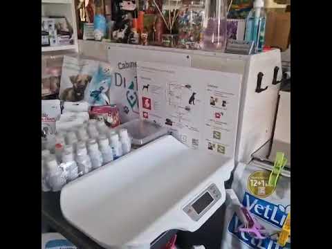 Youtube Vorschau - Video ID fx2KQmP5KDg