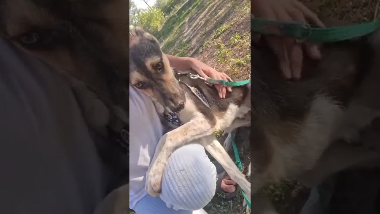 Youtube Vorschau - Video ID h9clVgK45Ag