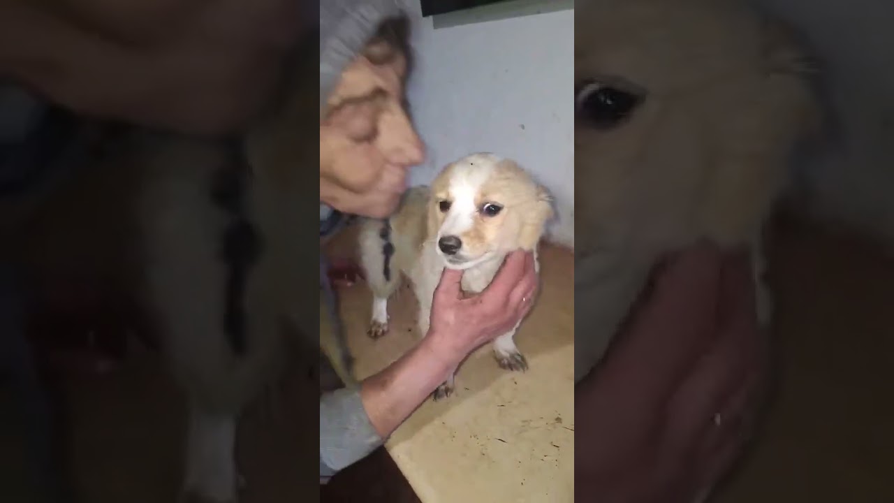 Youtube Vorschau - Video ID hH44Bzjmv58