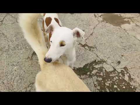 Youtube Vorschau - Video ID hTKR9h7MnXI