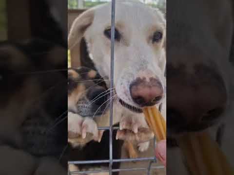 Youtube Vorschau - Video ID i3Jz8-uZZNM