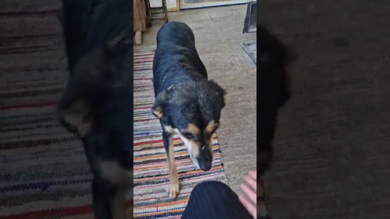 Youtube Vorschau - Video ID j8yD0pAGV-0