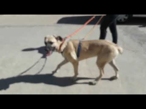 Youtube Vorschau - Video ID jkc5fdOs95s