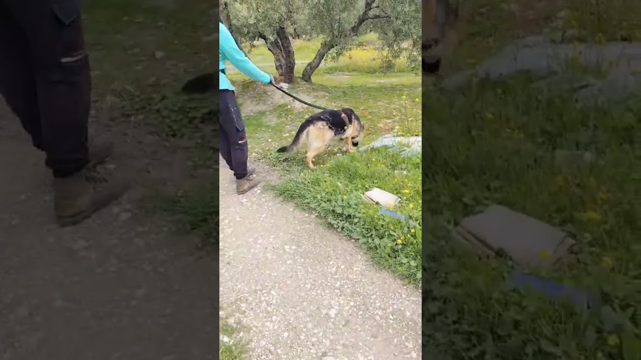 Youtube Vorschau - Video ID jzcb5zeFS0U