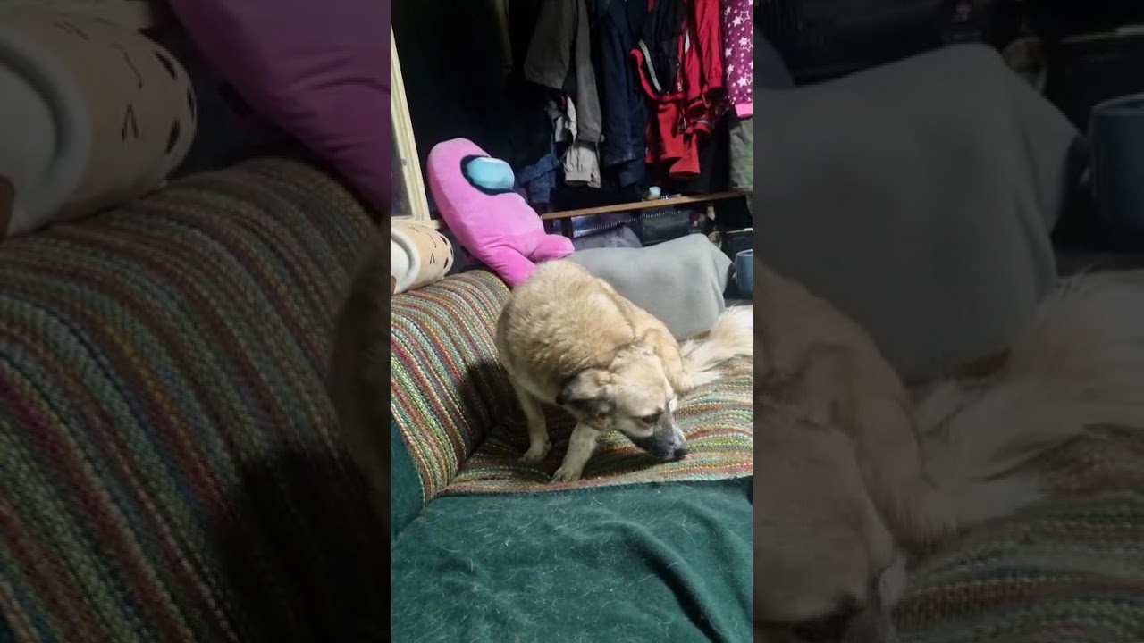 Youtube Vorschau - Video ID kn9XEsivuSQ