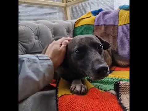 Youtube Vorschau - Video ID kqBAWCzskdA