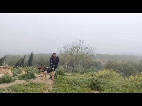 Youtube Vorschau - Video ID mmpzGf3CzJU