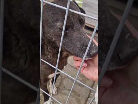 Youtube Vorschau - Video ID nVebb2sZiNM