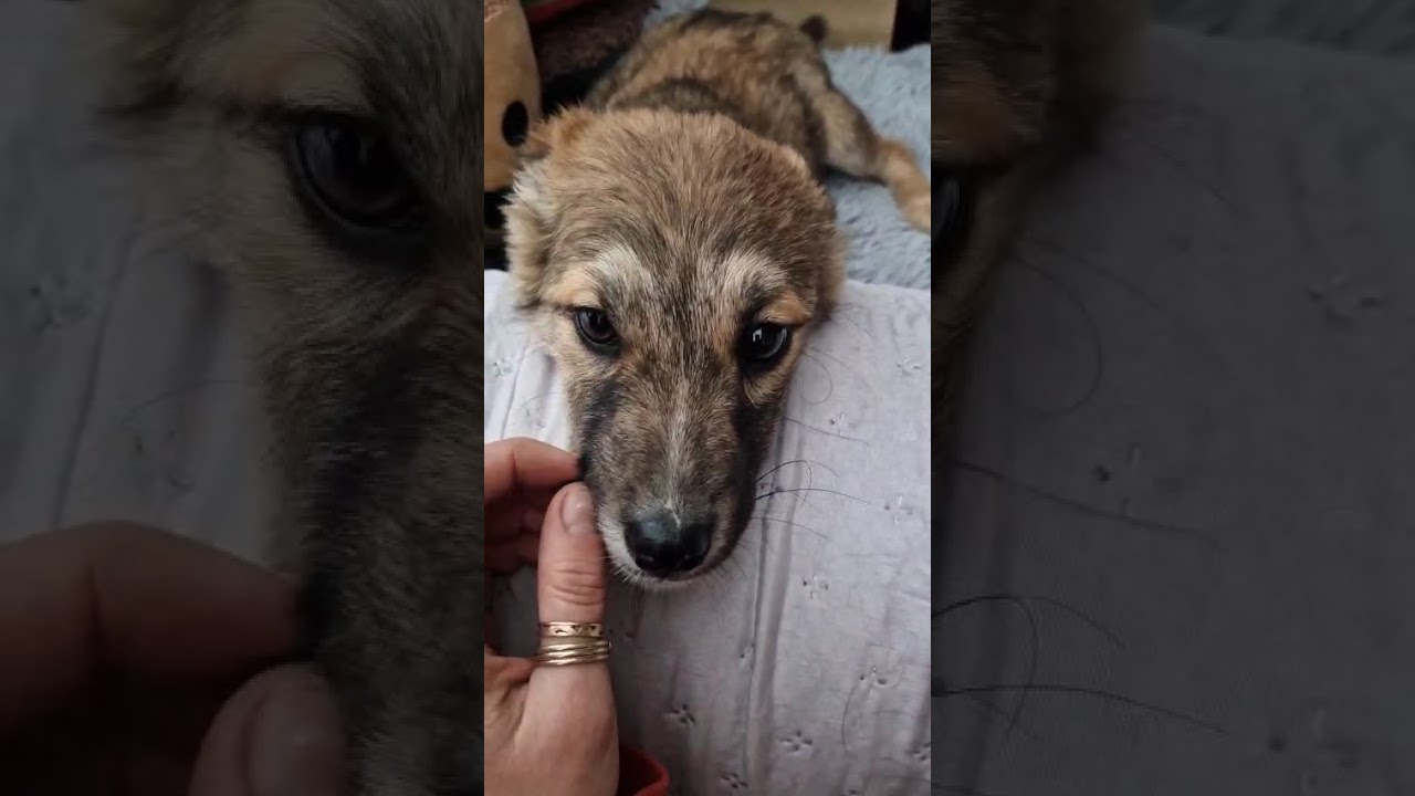 Youtube Vorschau - Video ID naUr18uPgSE