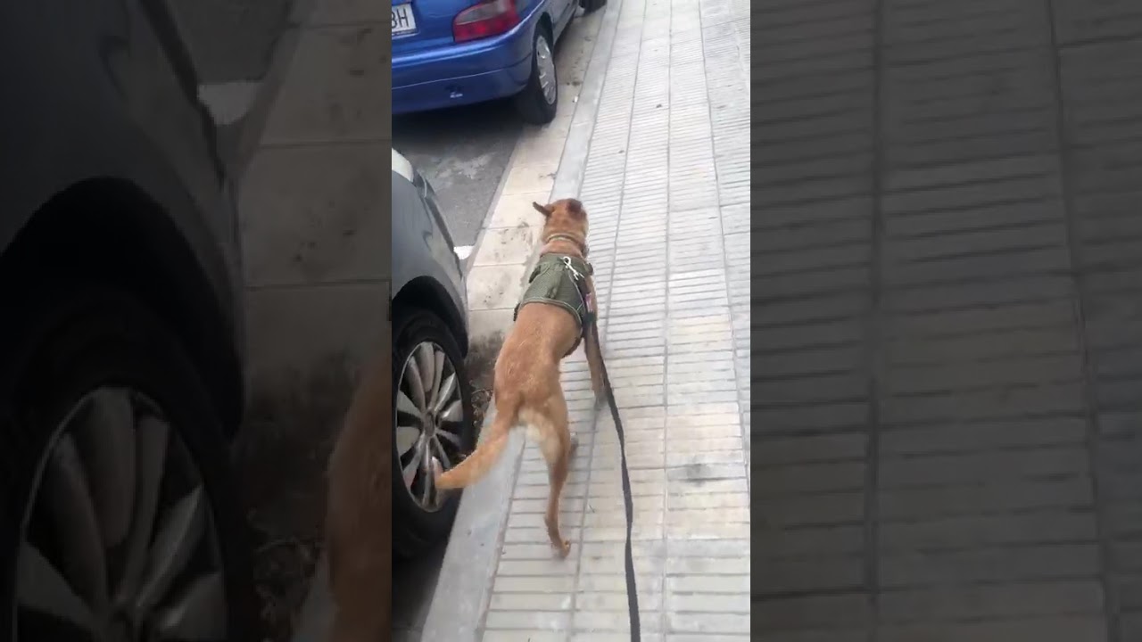 Youtube Vorschau - Video ID ntwIe_pJXJs