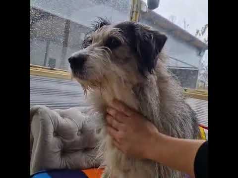 Youtube Vorschau - Video ID oxtfDHNGttw