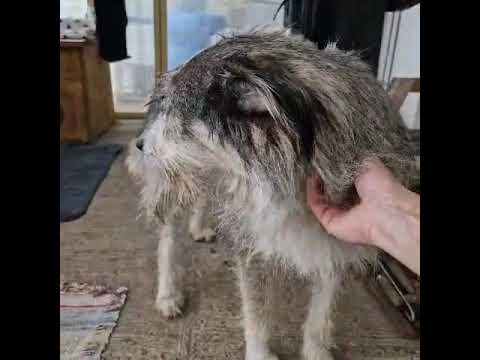 Youtube Vorschau - Video ID p9Ejk2yz5KU