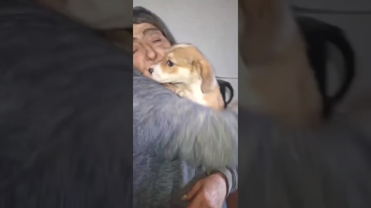 Youtube Vorschau - Video ID pQkROKSDGn4