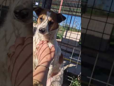 Youtube Vorschau - Video ID pkt9TMIr9-Y