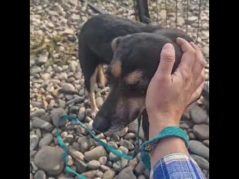 Youtube Vorschau - Video ID qW2bUW07dEo