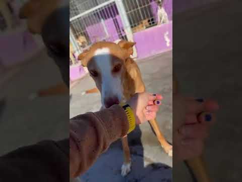 Youtube Vorschau - Video ID r6XjtQP1az4