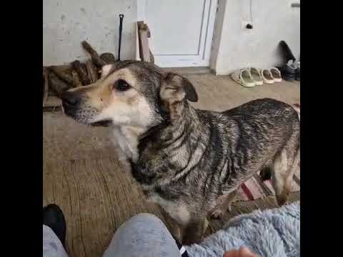 Youtube Vorschau - Video ID r9tTpkX6g0g