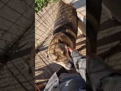 Youtube Vorschau - Video ID s7k7QZOEQ7s