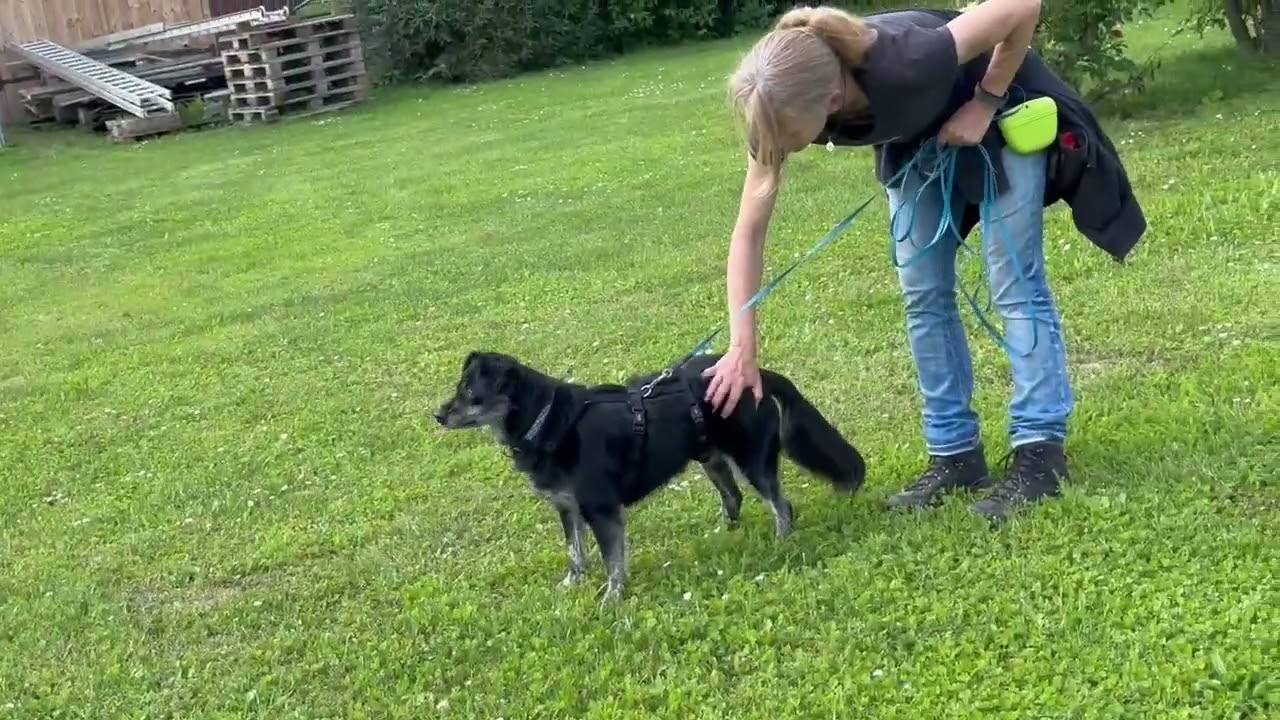 Youtube Vorschau - Video ID sXgIyUdGtEY