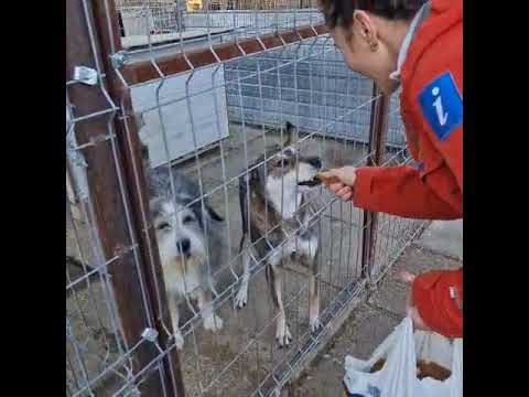 Youtube Vorschau - Video ID u7cUiVPuY5k