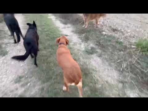 Youtube Vorschau - Video ID uCcvczY6lGY