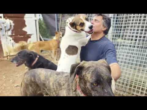 Youtube Vorschau - Video ID uEgRi7hIsBM