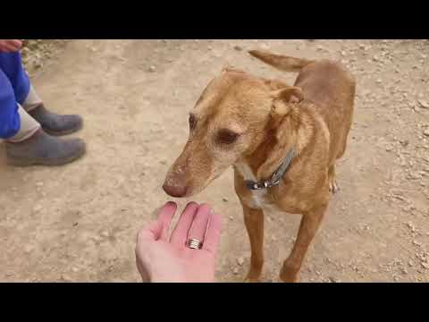 Youtube Vorschau - Video ID ufGx0P0NWbQ