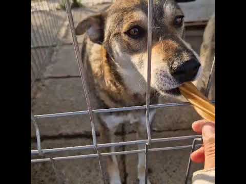 Youtube Vorschau - Video ID vtkk5BzMzlk