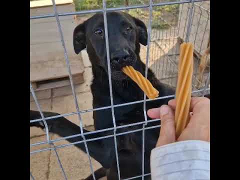 Youtube Vorschau - Video ID wd8Bf4qIJ_w