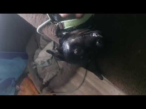 Youtube Vorschau - Video ID wpTJtQY12As