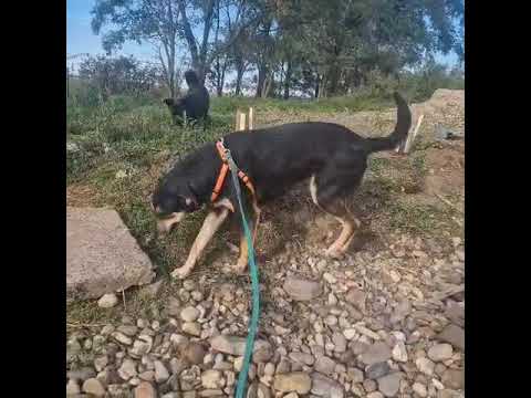 Youtube Vorschau - Video ID x_GotZgdT1g