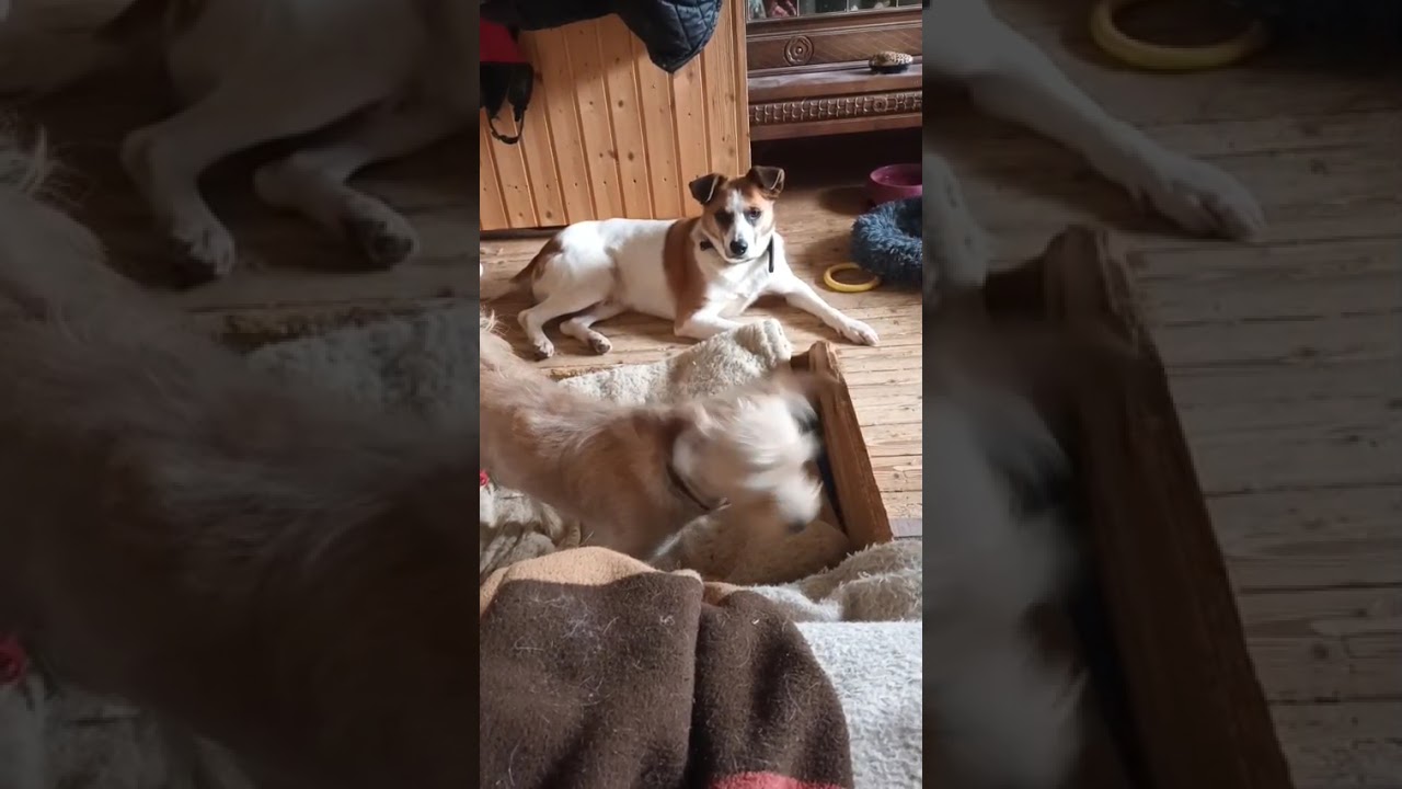 Youtube Vorschau - Video ID yhGtyY2Rtvo