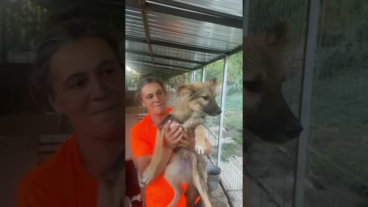 Youtube Vorschau - Video ID zocNIa-tlB0